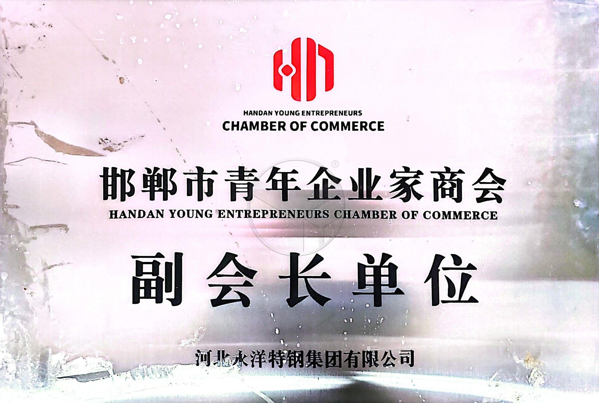Enterprenuer Commerce Association Vice President Membership